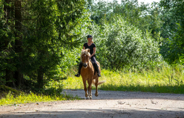 istock Woman horseback riding 1471222661
