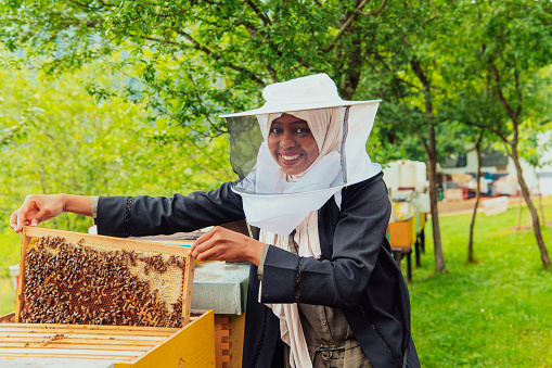 A full shot portrait of a senior male and female farmer wearing protective workwear examining a bee hive rack full of bees and honey. It is a bright summer's day.