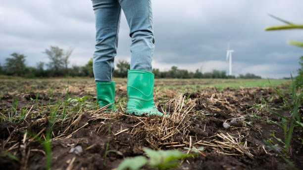 istock Close up boots of farmer working in the field. 1471232521