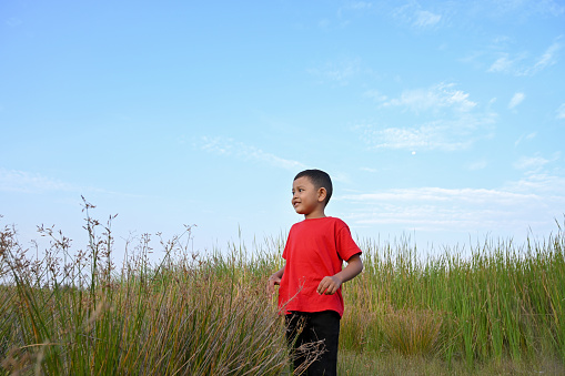 Kids enjoying nature in meadow