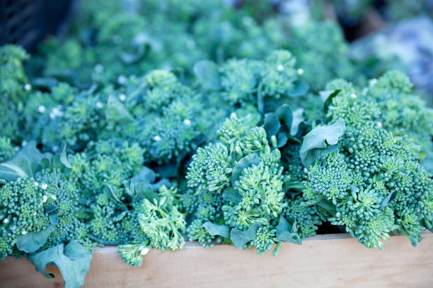 broccoli rabe for sale at a farmer's market - broccoli raab imagens e fotografias de stock