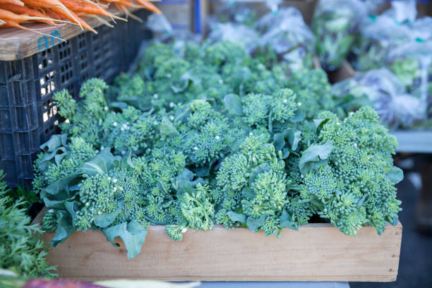 brocoli rabe à vendre sur un marché fermier - broccoli raab photos et images de collection