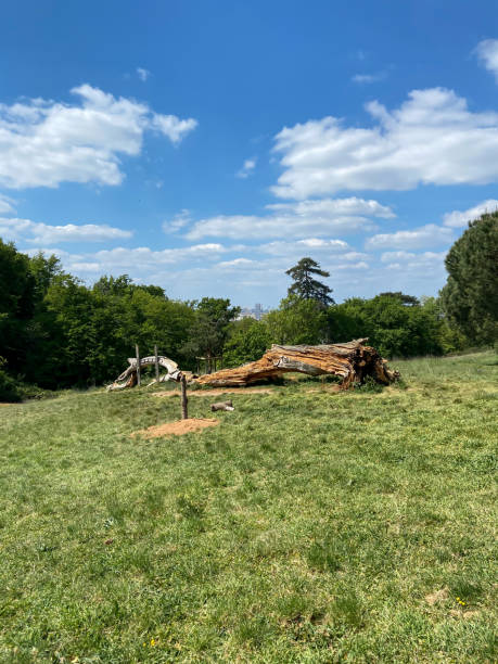 istock Public garden near Bordeaux 1471246559