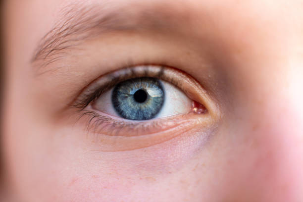 Macrophotography of a child's eye