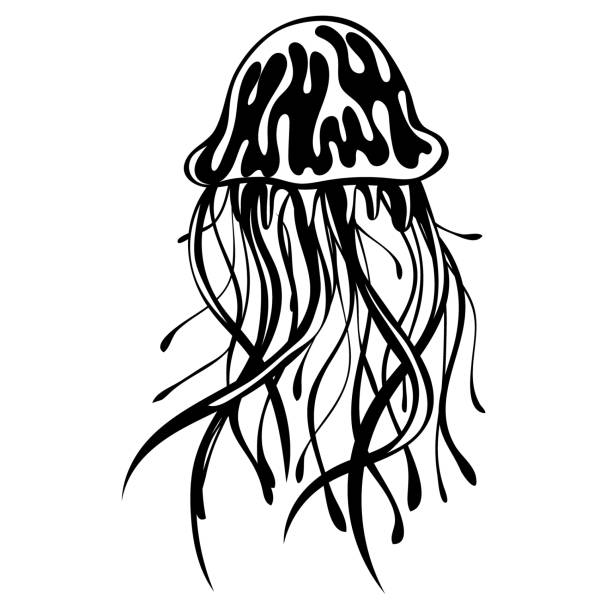 50+ Luminescent Jellyfish Silhouette Illustrations, Royalty-Free Vector ...
