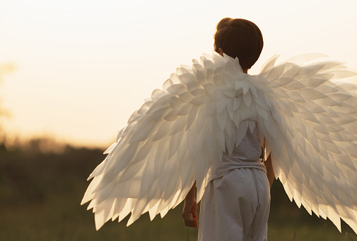 Angel with white wings on green grass. Brunette boy