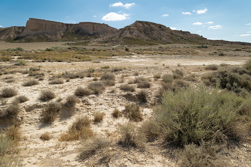 Declared a UNESCO Biosphere Reserve, Bardenas Reales is a natural park covering 42,500 hectares biologically rich area in which sustainable development is respected.