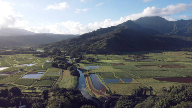 istock Aerial view of the fields and mountains. 1471257972