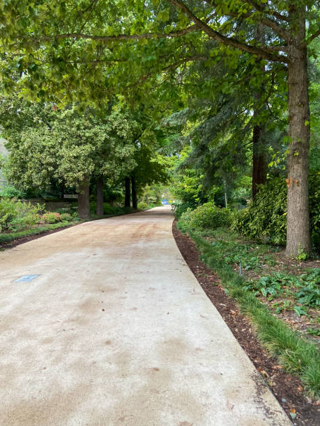 istock Public garden at Bordeaux 1471263472