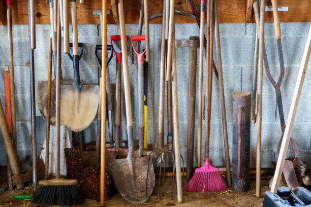 istock wall mounted farm impliments, spades, rakes, forks 1471263827