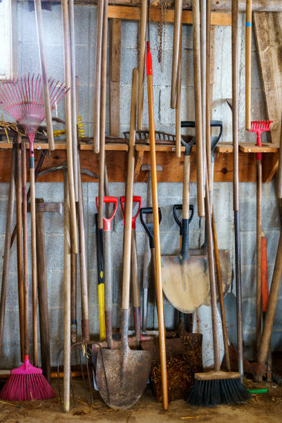 istock wall mounted farm impliments, spades, rakes, forks 1471263831