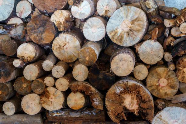 istock round logs stockpiled viewed from one end 1471263874