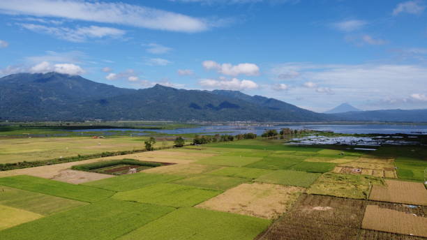 istock view of mountains and rice fields 1471268311