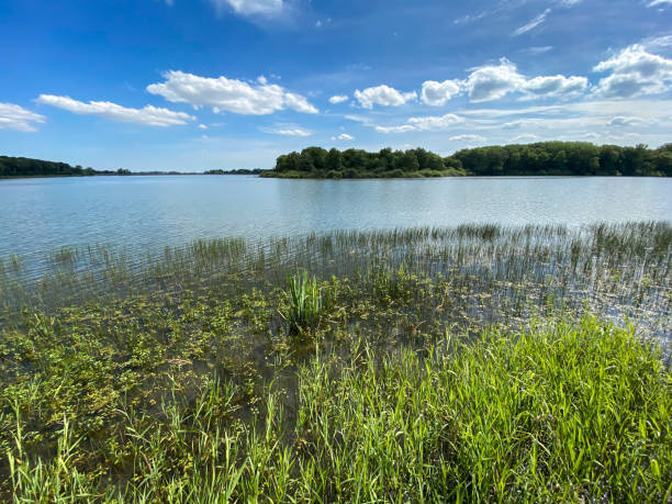 istock Lake in Burgundy 1471270313