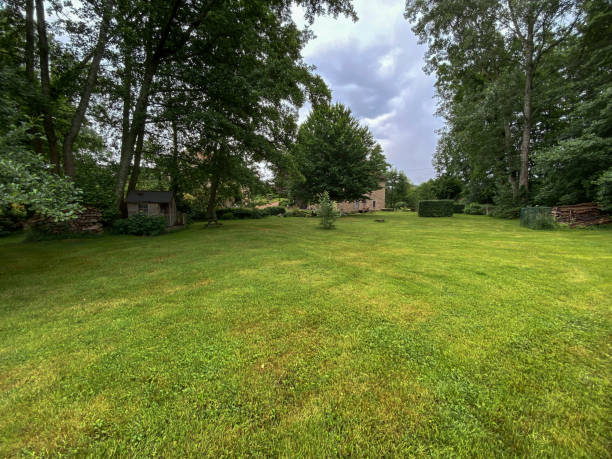 istock Garden lawn in Burgundy 1471270570