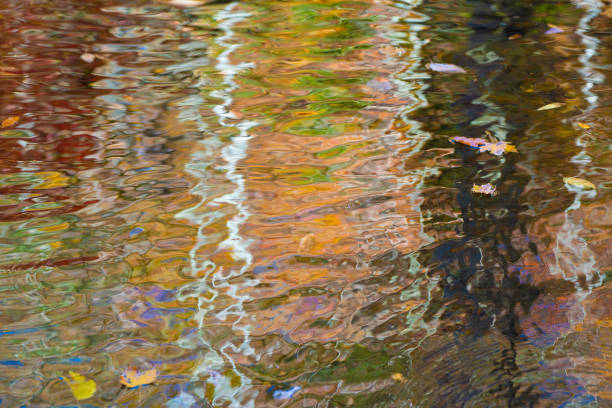 istock Colorful autumn leaf foliage reflections in river, 1471271312