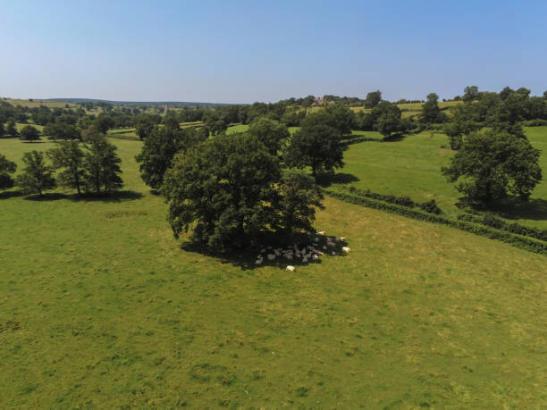 istock Fields, aerial view in Burgundy 1471273091