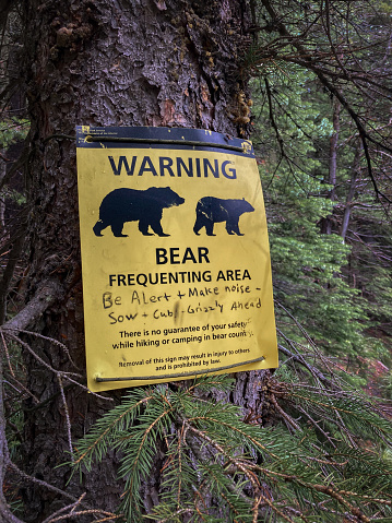 How to be bear aware while exploring and hiking in nature. Be Bear Aware while Hiking the Great Outdoors