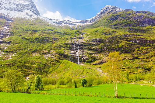 Meadow. Mountains