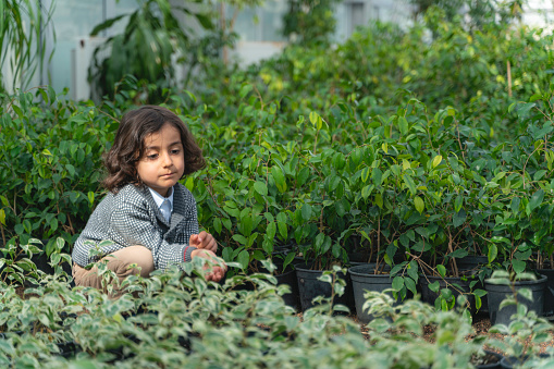 portrait of little boy sitting among potted plants grown in greenhouse. cute boy with long messy hair. Shot in natural light with a full-frame camera.