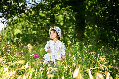 little toddler girl in a spring woodland.