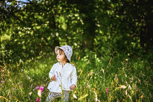 little daughter in a sunny meadow.