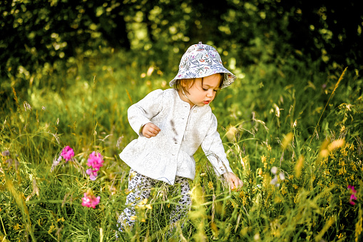 little girl picking up flowers.