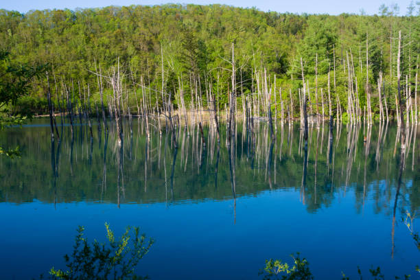 istock The surface of the blue pond reflecting the blue spring sky 1471295948