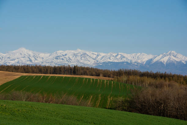 istock Green meadows and snowy mountains on a sunny spring day 1471296723