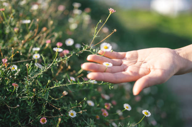 istock little world in her hand 1471308186