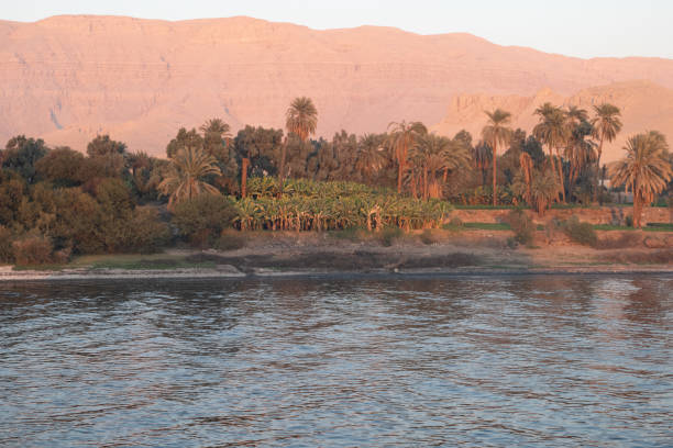 istock Sunrise Light over the Nile River 1471312886