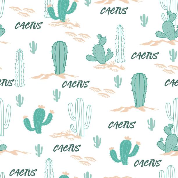 ilustraciones, imágenes clip art, dibujos animados e iconos de stock de patrón sin costuras de vector de bosque del desierto al aire libre - abstract backgrounds botany cactus