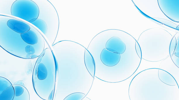 istock 3d rendering transparent cells, blue gel balls, clean microscopic image 1471316613