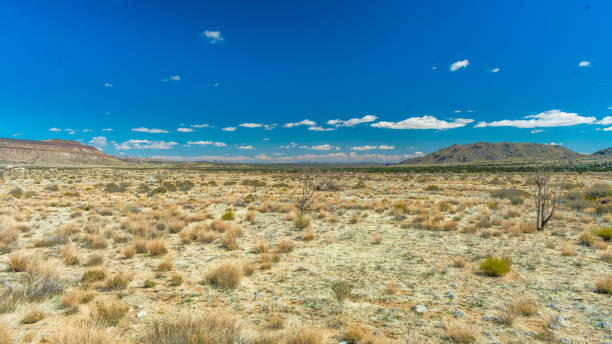 istock Mojave National Preserve in Winter 1471322177