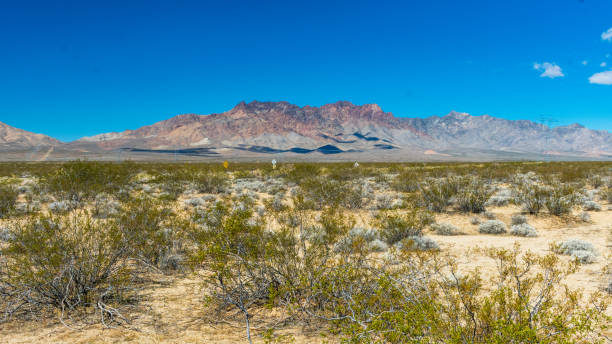istock Mojave National Preserve in Winter 1471323120