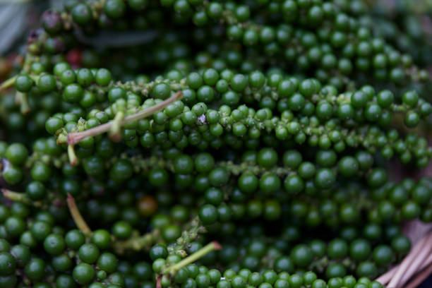 istock Pile of fresh peppercorns 1471325184