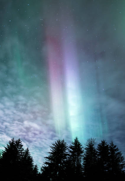 istock Aurora Northern Lights streamers with tree silhouettes 1471327592