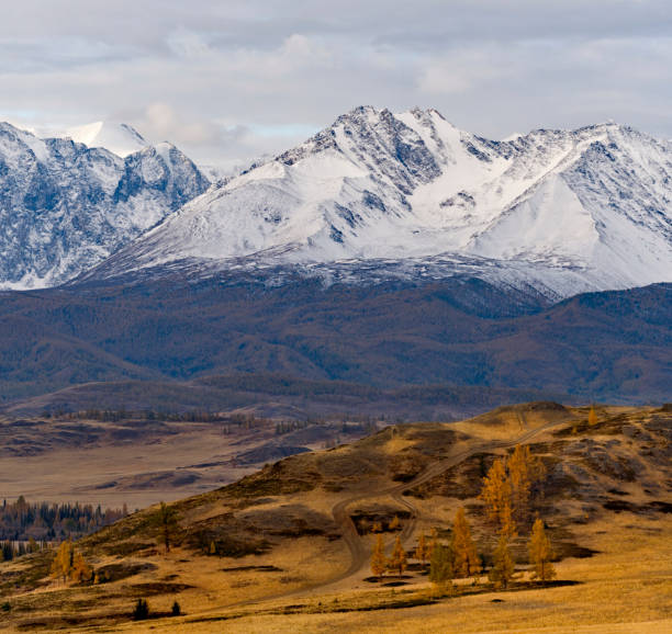 istock The road goes into the mountains 1471334347