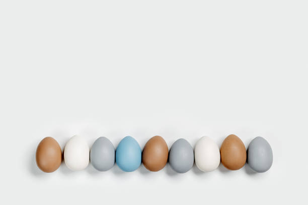 istock Dyed Easter eggs pastel colors blue, gray, beige in row on white background. Happy Easter holiday, celebration food concept, chicken egg neutral trendy color. Top view table 1471339672