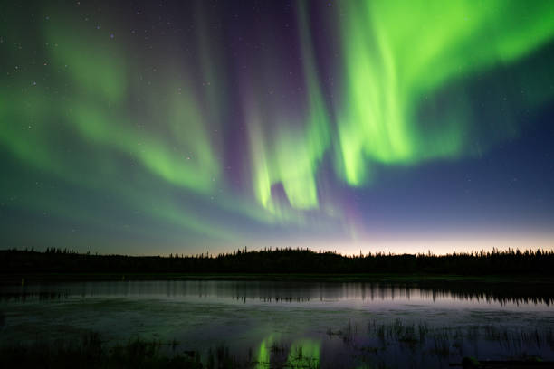aurora boreal en yellowknife - yellowknife fotografías e imágenes de stock