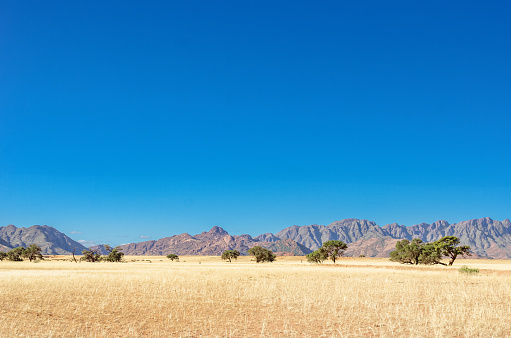 African savanna landscape, savannah wild grassland with mountains on background, Namibia, South Africa