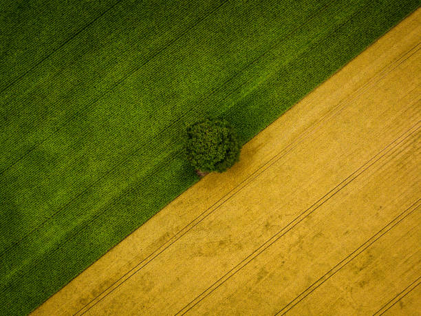 istock Aerial View of Summer Fields in Germany 1471359051