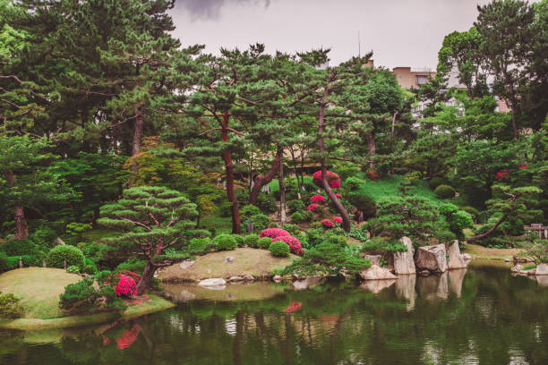 Red and green Japanese Maple trees.