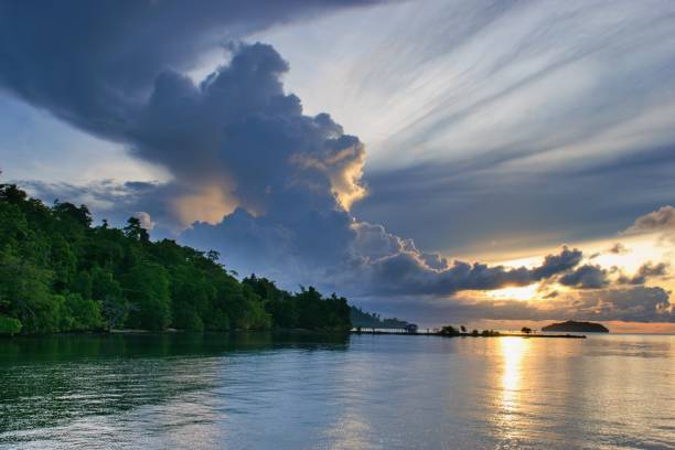Beautiful sunset scene  with tropical trees on the coast  - Waigeo Island, Raja Ampat, West Papua, Indonesia Beautiful sunset scene  with tropical trees on the coast - Waigeo Island, Raja Ampat, West Papua, Indonesia indo pacific ocean stock pictures, royalty-free photos & images