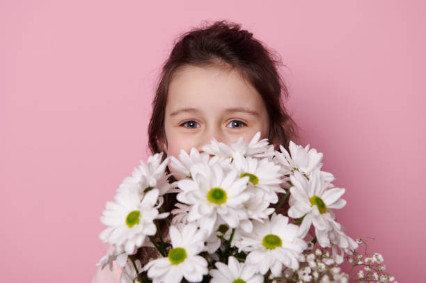 Smiling little child girl looking at camera through a bouquet of white chamomile flowers, isolated on pink background stock photo
