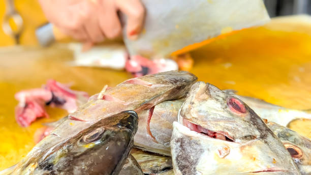 istock Serving Process of Roasted Fishes Menu 1471369066