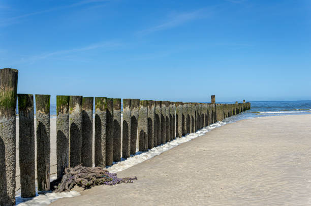 istock Beach and North Sea 1471375074