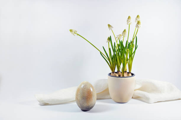 Easter egg with beige brown craquelure surface and a ceramic flowerpot with white grape hyacinths against a light gray background, home decoration and holiday greeting card, copy space, selected focus