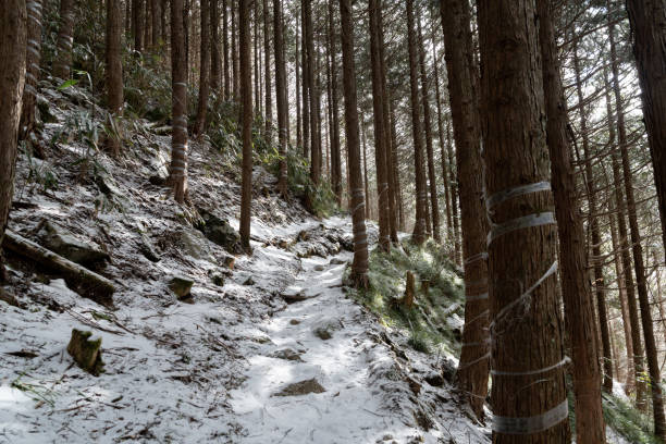 istock hiking trail covered with snow 1471381330