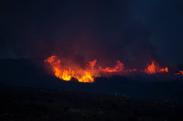 istock forest fire in a mountain at dusk, ecology concept 1471386799
